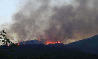 Đà Nẵng: Đã xác định được nguyên nhân cháy rừng Nam Hải Vân