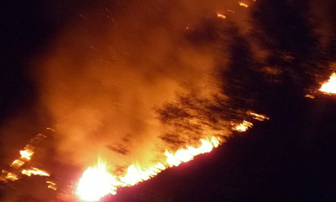 TP Đà Nẵng: Cháy rừng dữ dội trên đỉnh đèo
