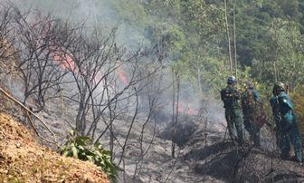 Rừng Đà Nẵng lại bốc cháy ngùn ngụt