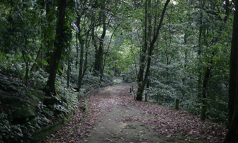 Nghiên cứu quy hoạch bảo vệ và phát triển rừng Ba Vì 