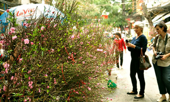 Hà Nội mở 47 chợ hoa xuân dịp Tết Giáp Ngọ