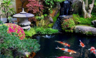 Tìm hiểu nghệ thuật thiết kế vườn Nhật Bản