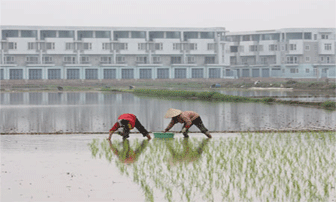 Bảng giá đất Hà Nội chỉ tham khảo cho vui?