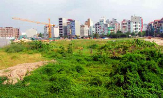 Hà Nội: Thu hồi đất bỏ hoang để xây trường học