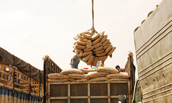 Xuất khẩu khoảng 4 triệu tấn clinker và xi măng trong 2011