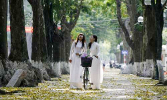 Những hình ảnh ấn tượng về Việt Nam trên Reuters