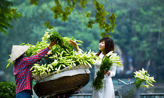 Lung linh sắc hoa loa kèn trên những gánh hàng rong