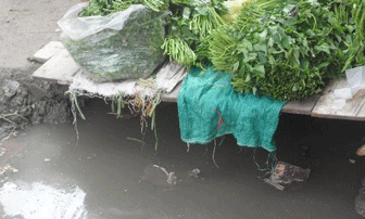“Choáng” cảnh họp chợ trên cống nước thối giữa lòng Hà Nội 