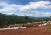 Bán đất tại dự án Nam Ban Villas, Lâm Hà, Lâm Đồng diện tích 450m2 giá 2.2 tỷ