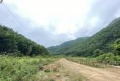 Cần sang nhượng 24ha đất rừng sản xuất tại Kim Bôi, Hòa Bình