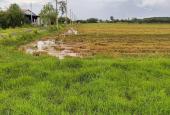 Bán đất 2 mặt tiền Nguyễn Thị Hẹ - 14.000m2 quy hoạch KDC - gần Tỉnh Lộ 7