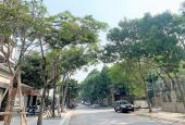 Bán nhà phố Trần Kim Xuyến, Cầu Giấy vỉa hè, ô tô, KD, công viên. 56m2 MT 5.2m 5T 16 tỷ
