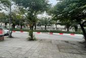Bán đất mặt phố Ba Đình - Mặt tiền khủng - kinh doanh sầm uất - giá tốt - 55m2 - 9 tỷ