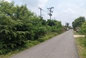 Bán đất đường xe công tại phường Gia Lộc thị xã Trảng Bàng, Tây Ninh. DT 4500m2