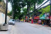 Bán gấp nhà phố Trần Đại Nghĩa, Đại La, Hai Bà Trưng, diện tích 70m2, ô tô tránh, kinh doanh.