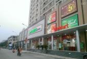 Cần chuyển nhượng 2 ô sàn thương mại - Tại khối đế dự án Tân Tây Đô