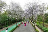 Bán nhà biệt thự, liền kề tại dự án Sunshine City, Bắc Từ Liêm, Hà Nội diện tích 150m2 235 tr/m2