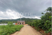 Đất đẹp 405.1m2 thôn Quán Trạch CD, xã Liên Nghĩa, Văn Giang, Hưng Yên