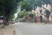 Bán đất mặt đường Vân Trì Vân Nội Đông Anh, kinh doanh bất chấp