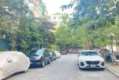 Bán Nhà Quận Đống Đa, Phân Lô Phố Trường Trinh 60m x 5T, Giá 11.8 ty.