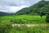 Sang nhượng gấp 1945m2 đất thổ cư view cực đẹp tại Lương Sơn, Hòa Bình