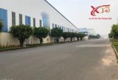 Cho thuê kho xưởng 7000m2 giá 575 triệu KCN Long Bình-Biên Hòa-Đồng Nai