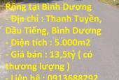 Bán đất tại Xã Thanh Tuyền, Dầu Tiếng, Bình Dương diện tích 5000m2