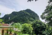 Chuyển nhượng gấp 1000m2 full thổ cư phân lô siêu đẹp tại Lương Sơn, Hòa Bình