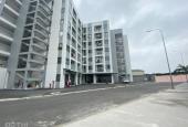 Cho thuê căn hộ chung cư tại Dự án Khu dân cư Thuận Giao, Thuận An, Bình Dương diện tích 54m2 giá 5