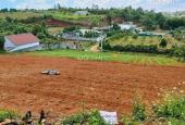 Hạ hết cỡ 850tr buông sổ cho lô đất 140m2 sẵn 100tc phường 2 TP Bảo Lộc.