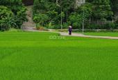 Bán mảnh đất vườn ở Đại Lai 1, Phú Xuân, tp.Thái Bình