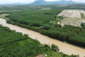 Bán 2000m2 Tân Bình - TX LaGi có 20m MT Sông Dinh giảm còn 900 triệu