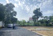 Bán Đất Nền Đẹp Cạnh Khu Công Nghiệp Thanh Hóa
