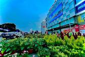 Ở ngay, Nhà cấp 4, Diện tích khủng 102m, ô tô vào nhà, Tăng Nhơn Phú A, Quận 9, TP Thủ Đức chỉ 7,45
