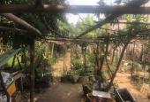 Bán đất tại Bình Hòa - Cây Dương, 950 triệu, 120m2, Vĩnh Cửu, Đồng Nai chỉ với giá cực chất