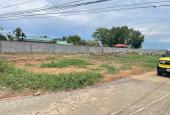 Bán đất Mt Ql 50 - Gò công, Giá 500tr, Dt 100m2, Shr, công chứng sang tên ngay