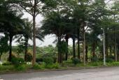 💎 SIÊU PHẨM ĐẤT ĐẸP TRUNG TÂM TỪ SƠN – VIEW HỒ – SỔ ĐỎ TỪNG LÔ – GIÁ CHỈ TỪ 44 TRIỆU/M