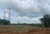 CHO THUÊ GẤP – ĐẤT ĐẸP GIÁ SIÊU TỐT – 45.000m² TẠI AN LONG
