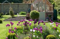 Làm đẹp sân vườn với chi phí siêu tiết kiệm