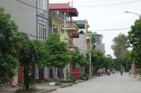 180 lô đất tại huyện Mê Linh và Đông Anh được đấu giá