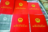 Cấp lại sổ đỏ khi bị mất