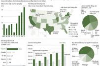 Infographics: Bất động sản Mỹ - Miếng bánh béo bở với Trung Quốc