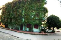 Rèm cây xanh giải nhiệt cho ngôi nhà hướng Tây 3 mặt đường