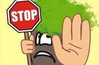 Ranh giới đất chung giữa 2 nhà có được sử dụng để trồng cây?