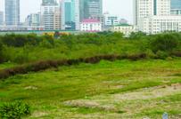 5 doanh nghiệp tại Hải Phòng bị thu hồi đất