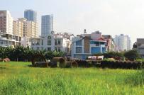 Chuyển mục đích sử dụng 69,38 ha đất trồng lúa sang đất phi nông nghiệp