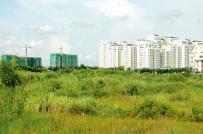 Phó Thủ tướng yêu cầu xử lý vi phạm đất đai tại huyện Đông Anh