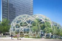 Amazon xây khu công viên trong nhà cho nhân viên