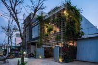 Hô biến xưởng gỗ cũ kỹ thành nhà ống 2 tầng ngập tràn cây xanh