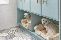 4 ý tưởng cải tiến nội thất dành cho gia chủ nuôi thú cưng